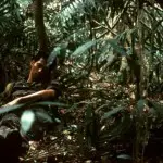 Cycle de Mille et une forêts, des projections sur l’Amazonie