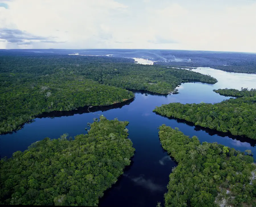 Brésil : La déforestation augmente à nouveau dans la forêt amazonienne