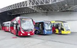 Brésil : le constructeur de bus Marcopolo fait d énormes progrès
