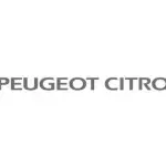 PSA Peugeot Citroen, un repositionnement sur le marché brésilien