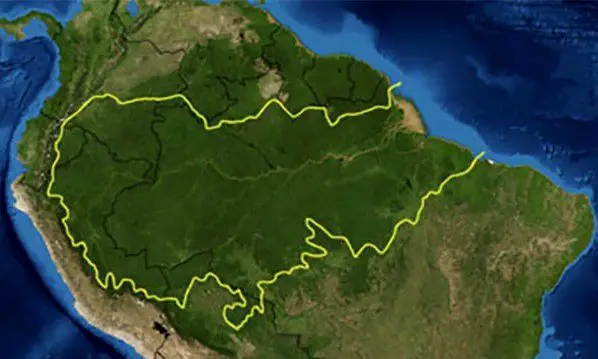 Cap sur la forêt amazonienne