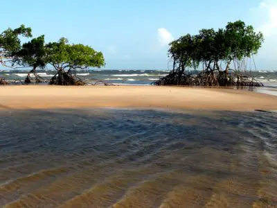 Ile de Marajó : Découvrez la plus grande ile fluviale, l’île de Marajó