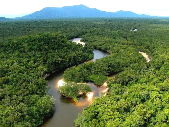 Découvrez la forêt amazonienne au Brésil