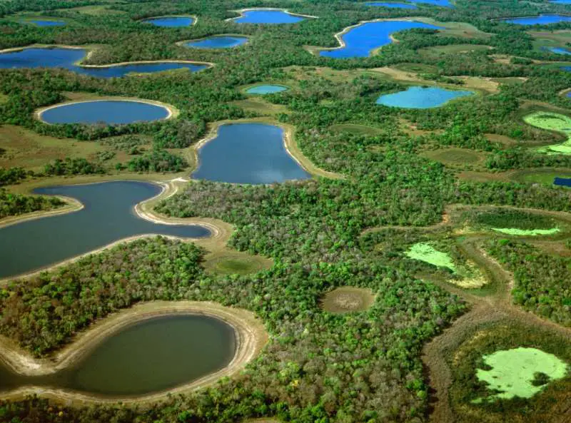 Le Pantanal, le plus grand marais au monde à découvrir au Brésil