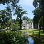 Jardin Botanique de Rio de Janeiro : une merveille de la nature