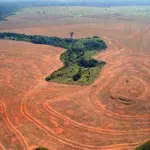 Déforestation au Brésil