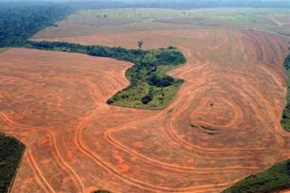 la deforestation