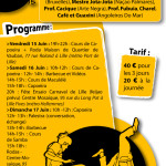 Capoeira angoleira do mar du 15 au 17 juin 2007 à Lille