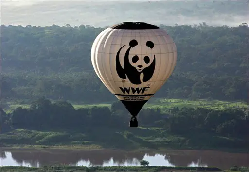 un-ballon-du-world-wildlife-fund-survole-l-amazone