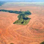 Brésil, une loi pour la déforestation a été approuvée par les députés!