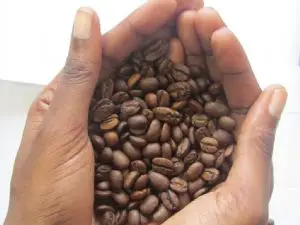 Récolte abondante du café au Brésil, baisse le cours du café