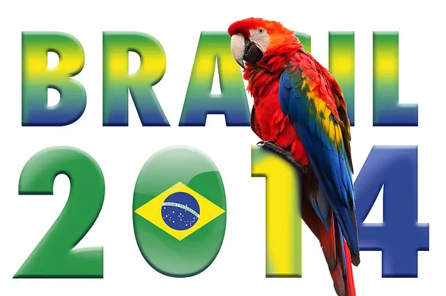 Brésil 2014 