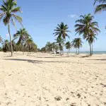 Circuit Brésil : forêt vierge et plages secrètes seront au rendez-vous