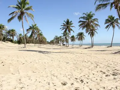 Circuit Brésil : forêt vierge et plages secrètes seront au rendez-vous