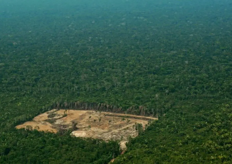 La déforestation au coeur de l'Amazonie
