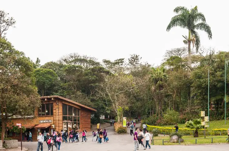 Parc zoologique de Sao Paulo