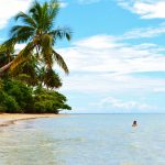 Ile de Boipeba : découvrez l’île de Boipeba une destination sans voitures