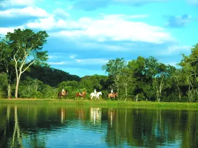 Ecotourisme  au Brésil : une destination d’écotourisme rêvée