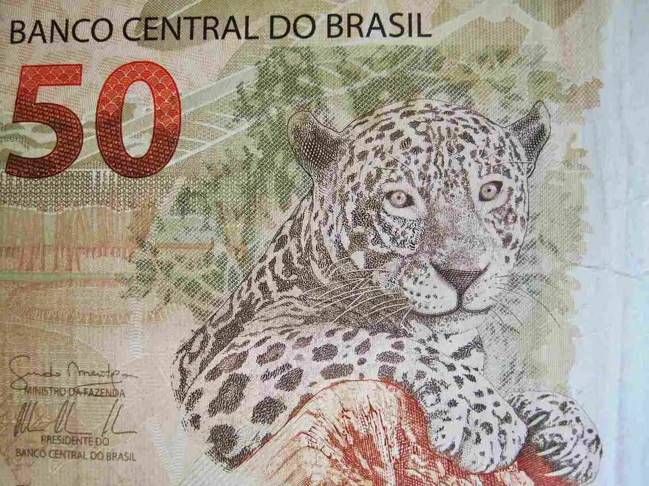 monnaie brésilienne