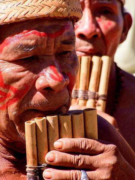 Le mode de vie des peuples indigènes d’Amazonie 