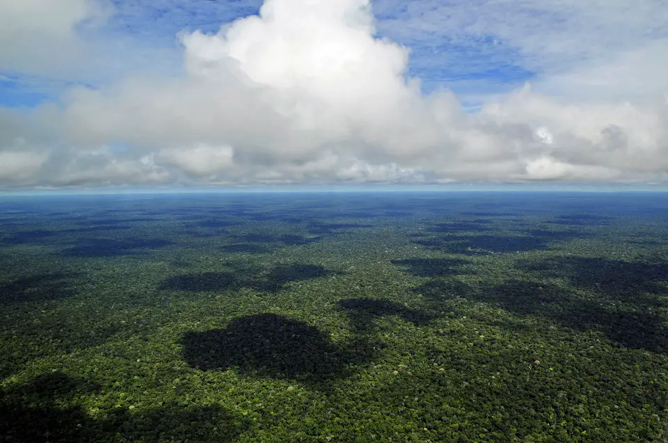 La forêt amazonienne au Brésil