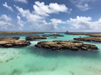 Atoll das Rocas : une réserve biologique protégée du Brésil