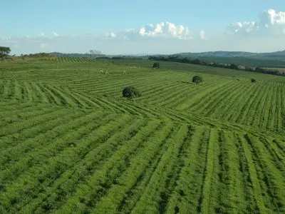 Fazendas : véritable patrimoine historique du Brésil